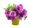 ap731428-07-fc1_65oeg841.png