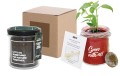 Grow_Kit_Szklany.jpg