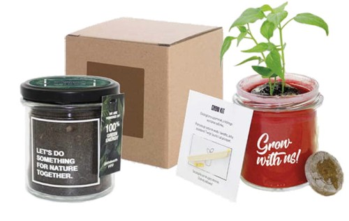 Grow_Kit_Szklany.jpg