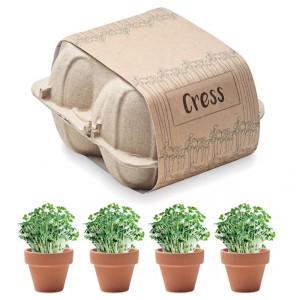 Zestaw do uprawy rzeżuchy