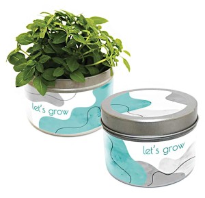 Grow Kit w puszce