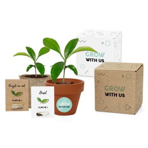 Grow mini box