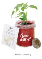 Grow_Kit_szklany_kwarc_barwiony.jpg