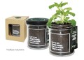 Grow_Kit_szklany_podloze_naturalne.jpg