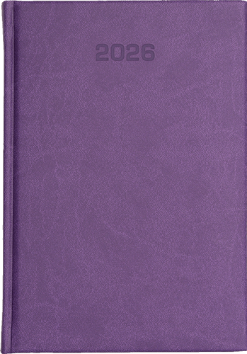 Vivella Economic Fiolet_4864.png