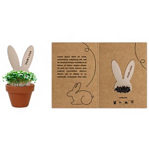 Plant Wood do uprawy