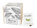 grow_kit_bialy.jpg